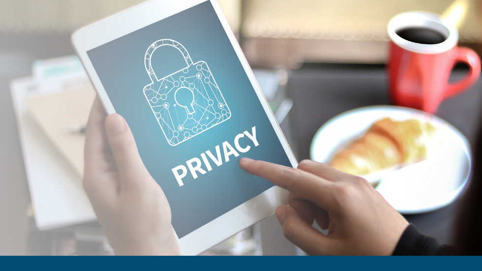 Privacy, Data Storage, and Governance in AI